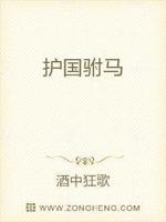 护国驸马